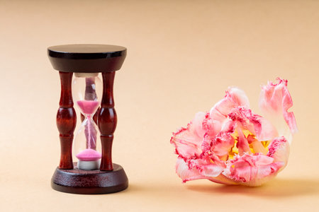 Hourglass Surrounded by Scattered Dried Flower Petals on Beige Background, Symbolizing Urgency for Environmental Actionの写真素材