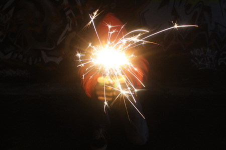 flowers of fire