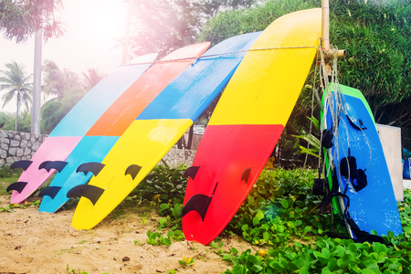 Surfboards are on the beach. Multicolored surfboards dry on the sand.の写真素材