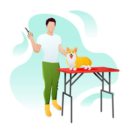 groomer guy cuts a beautiful corgi dog. vector backgroundのイラスト素材