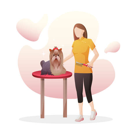 Vector image of a pet care salon. Groomer girl combing a simmatic Yorkshire terrier sitting on a tableのイラスト素材