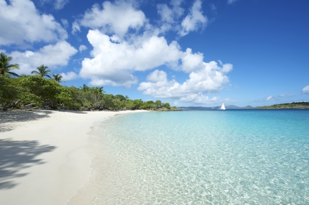 Tranquil Caribbean Beach