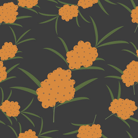 Seamless pattern of sea buckthorn on dark area.のイラスト素材