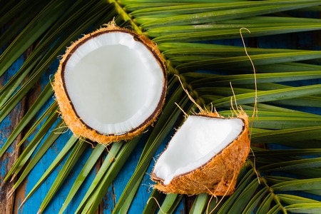 Halfs of coconut coconut palm tree leave