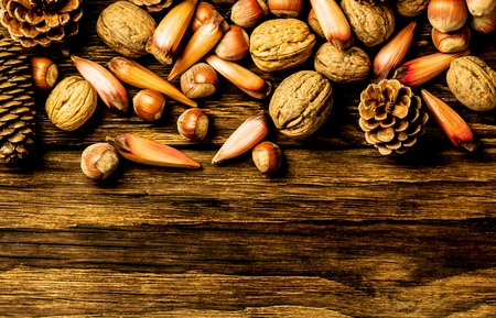 Christmas composition. pine cones, fir cones nuts walnuts pine nuts hazelnuts almond.の写真素材