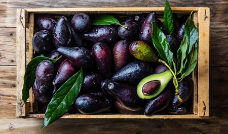 Box of fresh avocado with leaves. Harvest conceptの写真素材