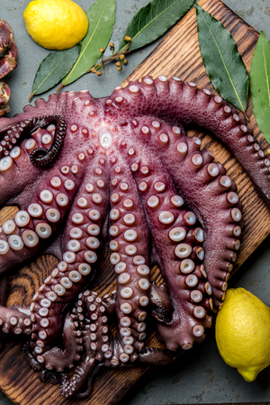 Seafood octopus. Whole fresh raw octopus and crabs on wooden board with lemon and laurel, gray slate background, top viewの写真素材