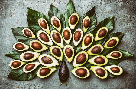 Peacock made from avocado palta and avocado tree leaves on grayの写真素材