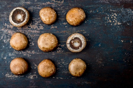 PORTOBELLO MUSHROOM on dark background, top view. Portobello patternの写真素材