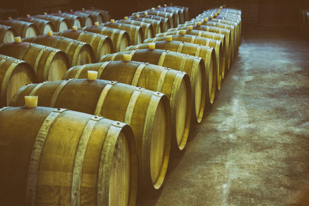 Wine barrels stacked in the old cellar of the winery.