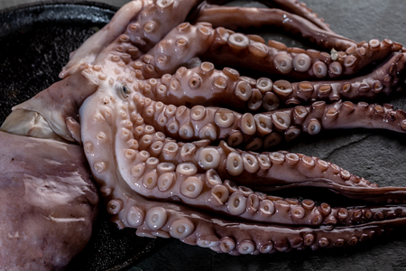 Whole fresh raw octopus on black plate. slate backgroundの写真素材
