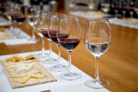SANTIAGO, CHILE - NOV 29, 2018: Wine degustation in Concha y Toro Mansion and Vineyardのeditorial素材