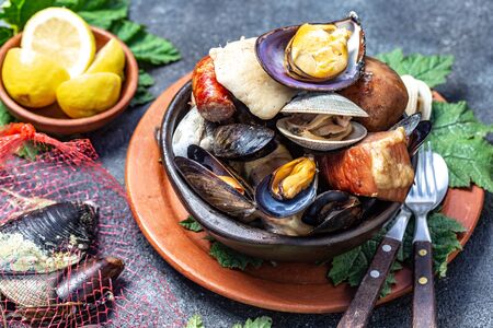 Famous traditional dish of the south of Chile and the Chiloe archipelago - Curanto Kuranto.  Different seafood and meat cooked in a pit on the coals under the ground.の写真素材