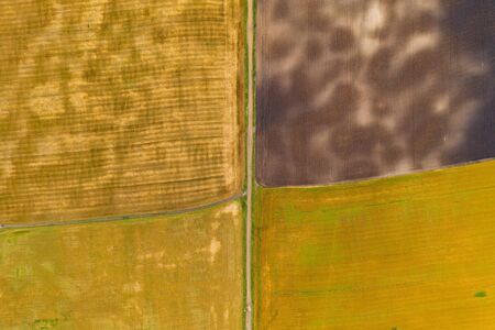 Aerial top view drone photography of a land with sown green fields in countrysideの写真素材