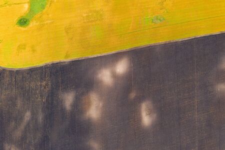 Aerial top view drone photography of a land with sown green fields in countryside