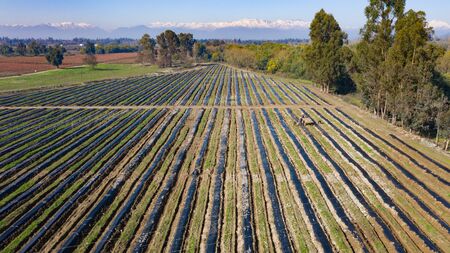 Aerial top view drone photography of chilean landscapeの写真素材