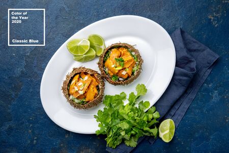 Color of 2020 year. Classic Blue. Seafood trendy background. Sea Urchins caviar in shell with onion and cilantro. Top viewの写真素材