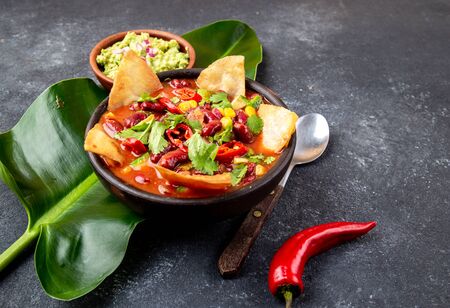 Mexican black bean soup with homemade fried tortillas totopos nachos served with guacamole.の写真素材