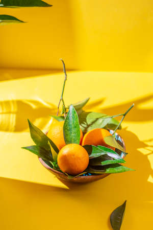 Whole oranges witl orange tree leaves on yellow background