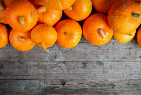 Autumn background for text with pumpkins. Top view. Copy spaceの写真素材
