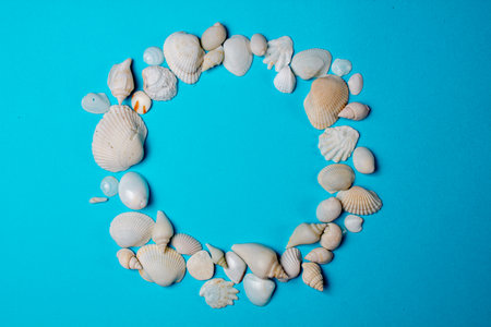 Sea shells on blue background. minimalistic summer bacground