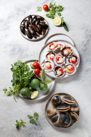 Seafood shellfish clams, mussels and scallops on gray platesの写真素材