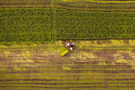 Aerial view of agricultural fields. Top viewの写真素材