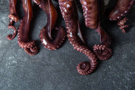 Raw octopus in black stone plate. Black background. Top view. Copy space