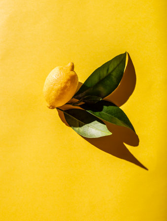 Fresh lemon with lemon tree leaves on yellow background.の写真素材