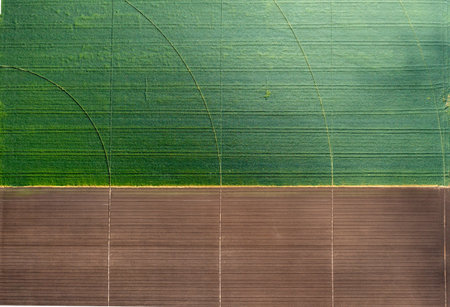 Aerial top view of a different agriculture fields. Drone shot.の写真素材