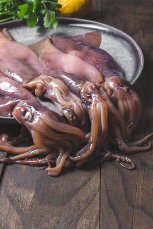 Raw squids on gray plate with cilantro and lemons. On dark wooden background.の写真素材