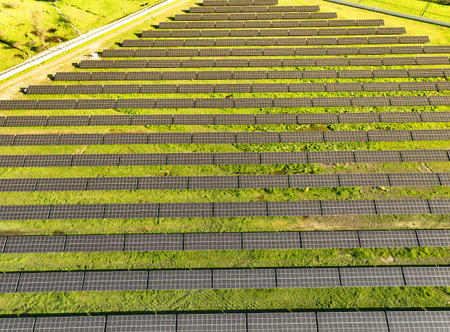 Solar panels on field in summer, aerial drone view