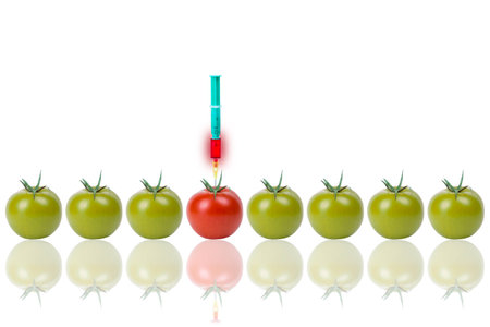 Group of gene tomatosの写真素材