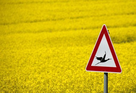 road sign with a warning of flying storksの写真素材