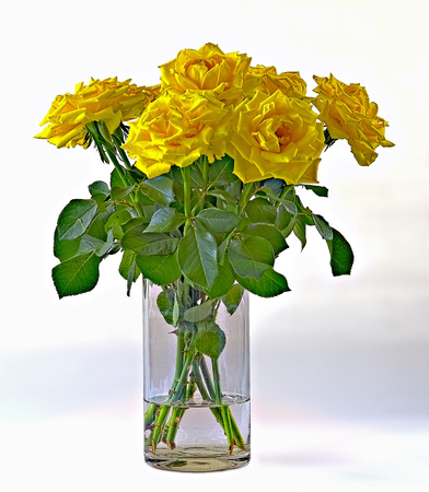 A bunch of yellow roses in a vase of glassの写真素材