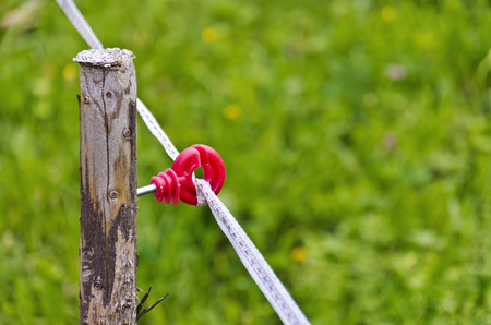 ribbon of an electric pasture fence fastened with a red isolator to a wooden stake
