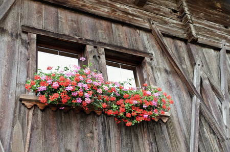 pink and red floral decoration underneath the windows of an old wooden houseの写真素材