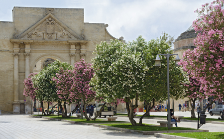 Alley with flourhising trees before the Porta Napoli at Lecce in spring, Italyのeditorial素材