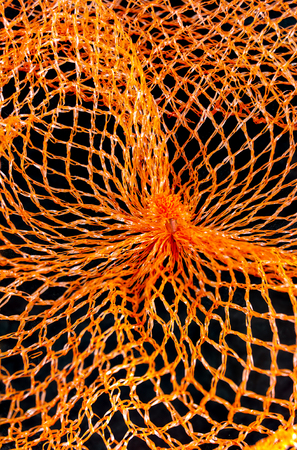 flexible mesh for packing goods made of orange plastic filaments