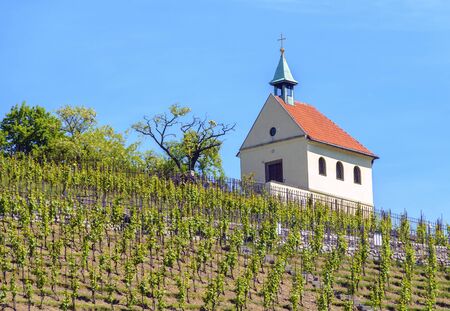 chapel above a new planted vineyard above the palace Troja near Prague, Czech Republicの写真素材