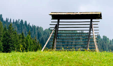 traditional old wooden frame work for drying hay called Harpfe on a meadow at Eastern Tirol, Austriaの写真素材