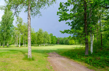 Fairway on a golf course limited by trees in Swedenの写真素材