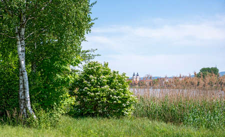 landscape at the embankment of the river Danube with view towards the city of Tulln, Austriaの写真素材