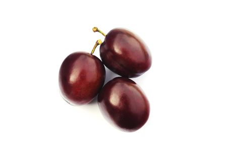 Plums on a white backgroundの写真素材