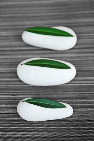 Three white stones and green leavesの写真素材