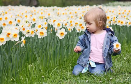 A little girl playing in the narcissusの写真素材