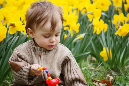 A little boy playing in a daffodilの写真素材
