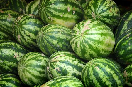 Large ripe watermelons on the marketの写真素材