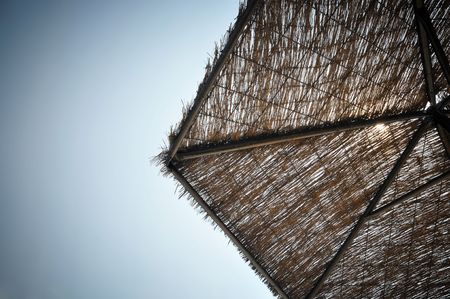 The sun shining through umbrella cutの写真素材