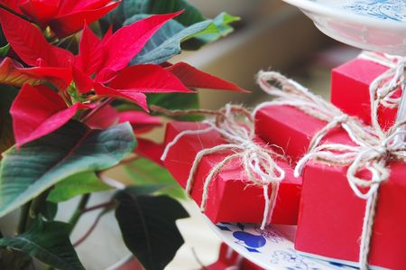 Detailed Image - Poinsettia and small Christmas giftsの写真素材